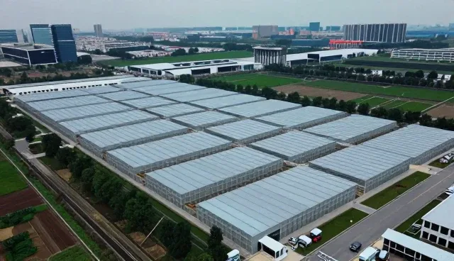 智能照明系统选型关注点与场景适配分析